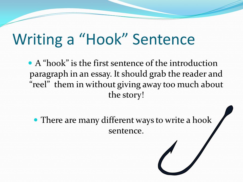 What is a hook sentence in an essay