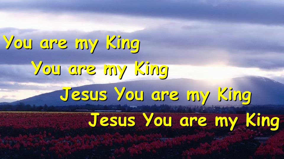 You are my King Jesus You are my King You are my King Jesus You are my King