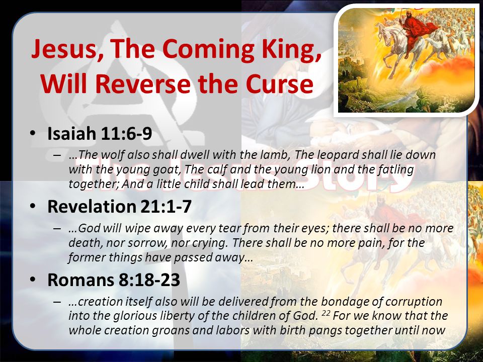 Jesus, The Coming King, Will Reverse the Curse Isaiah 11:6-9 – …The wolf also shall dwell with the lamb, The leopard shall lie down with the young goat, The calf and the young lion and the fatling together; And a little child shall lead them… Revelation 21:1-7 – …God will wipe away every tear from their eyes; there shall be no more death, nor sorrow, nor crying.