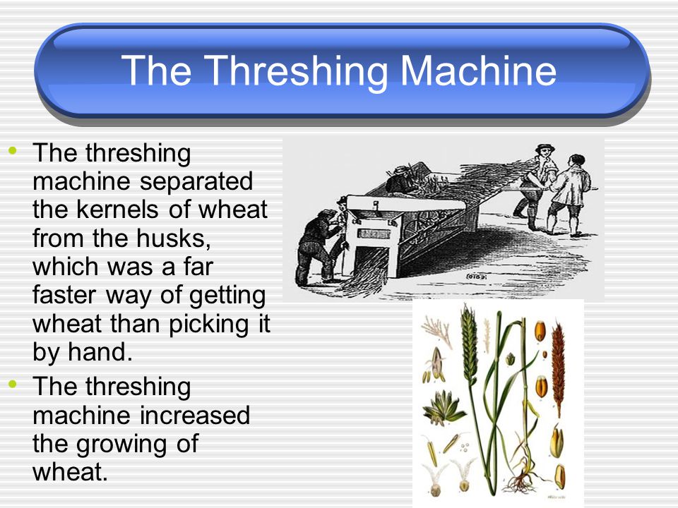 The Threshing Machine The threshing machine separated the kernels of wheat from the husks, which was a far faster way of getting wheat than picking it by hand.