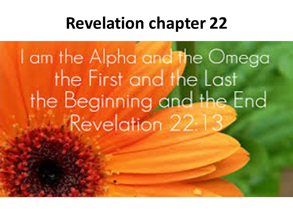 Revelation chapter 22