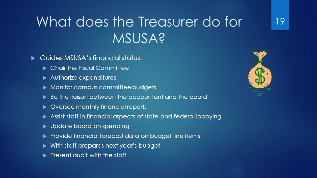 What does the Treasurer do for MSUSA.
