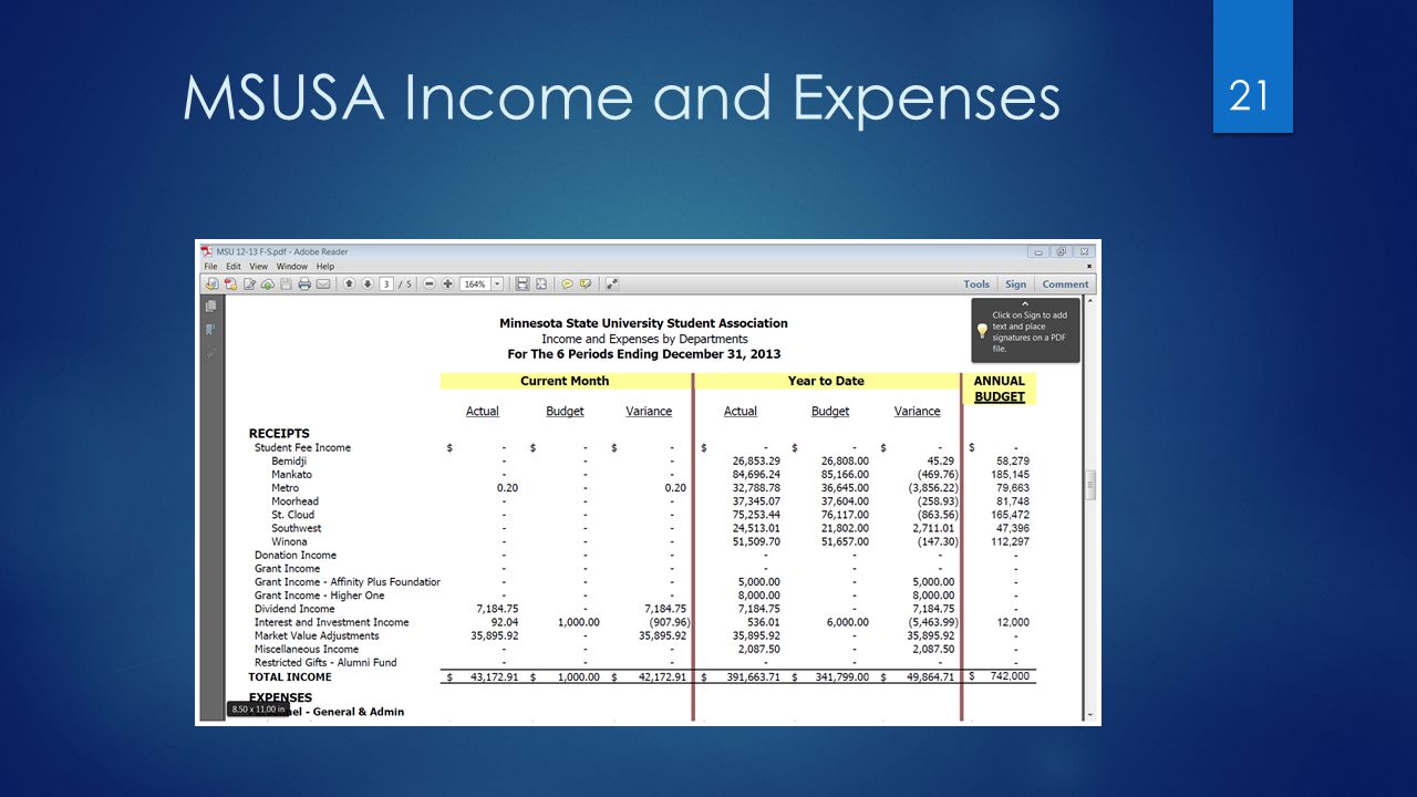 MSUSA Income and Expenses 21