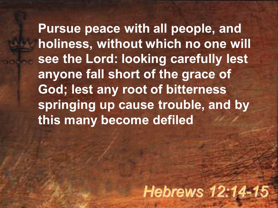 Pursue peace with all people, and holiness, without which no one will see the Lord: looking carefully lest anyone fall short of the grace of God; lest any root of bitterness springing up cause trouble, and by this many become defiled Hebrews 12:14-15