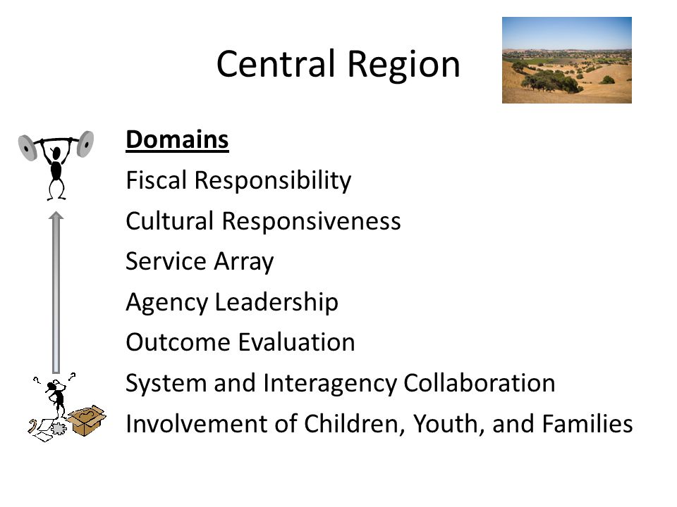 Central Region Domains Fiscal Responsibility Cultural Responsiveness Service Array Agency Leadership Outcome Evaluation System and Interagency Collaboration Involvement of Children, Youth, and Families
