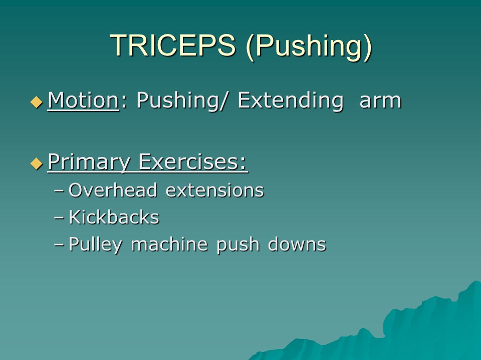 TRICEPS (Pushing)  Motion: Pushing/ Extending arm  Primary Exercises: –Overhead extensions –Kickbacks –Pulley machine push downs