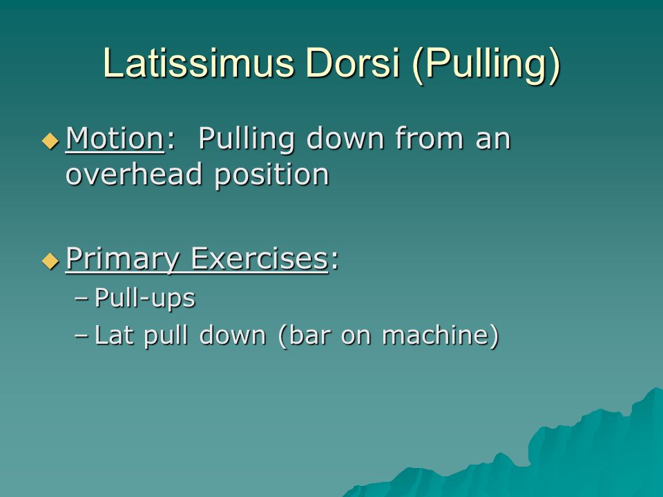 Latissimus Dorsi (Pulling)  Motion: Pulling down from an overhead position  Primary Exercises: –Pull-ups –Lat pull down (bar on machine)