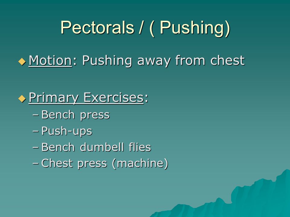 Pectorals / ( Pushing)  Motion: Pushing away from chest  Primary Exercises: –Bench press –Push-ups –Bench dumbell flies –Chest press (machine)