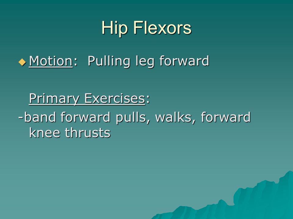 Hip Flexors  Motion: Pulling leg forward Primary Exercises: -band forward pulls, walks, forward knee thrusts