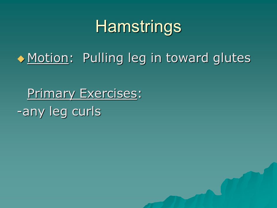 Hamstrings  Motion: Pulling leg in toward glutes Primary Exercises: -any leg curls