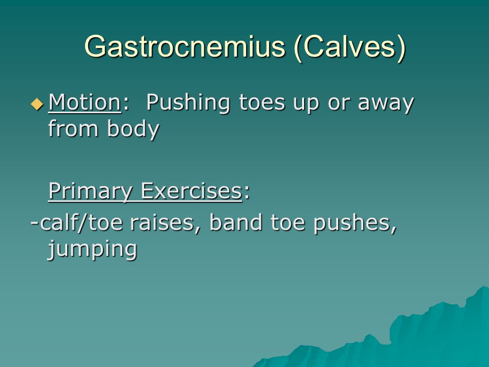 Gastrocnemius (Calves)  Motion: Pushing toes up or away from body Primary Exercises: -calf/toe raises, band toe pushes, jumping