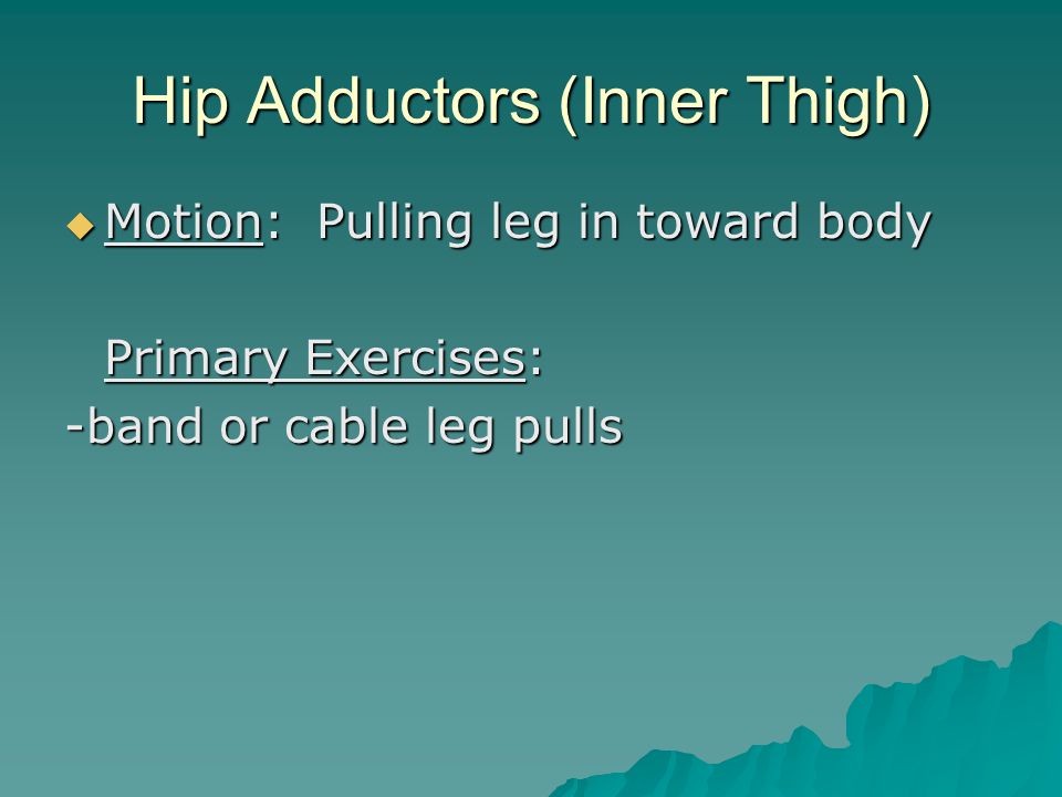 Hip Adductors (Inner Thigh)  Motion: Pulling leg in toward body Primary Exercises: -band or cable leg pulls