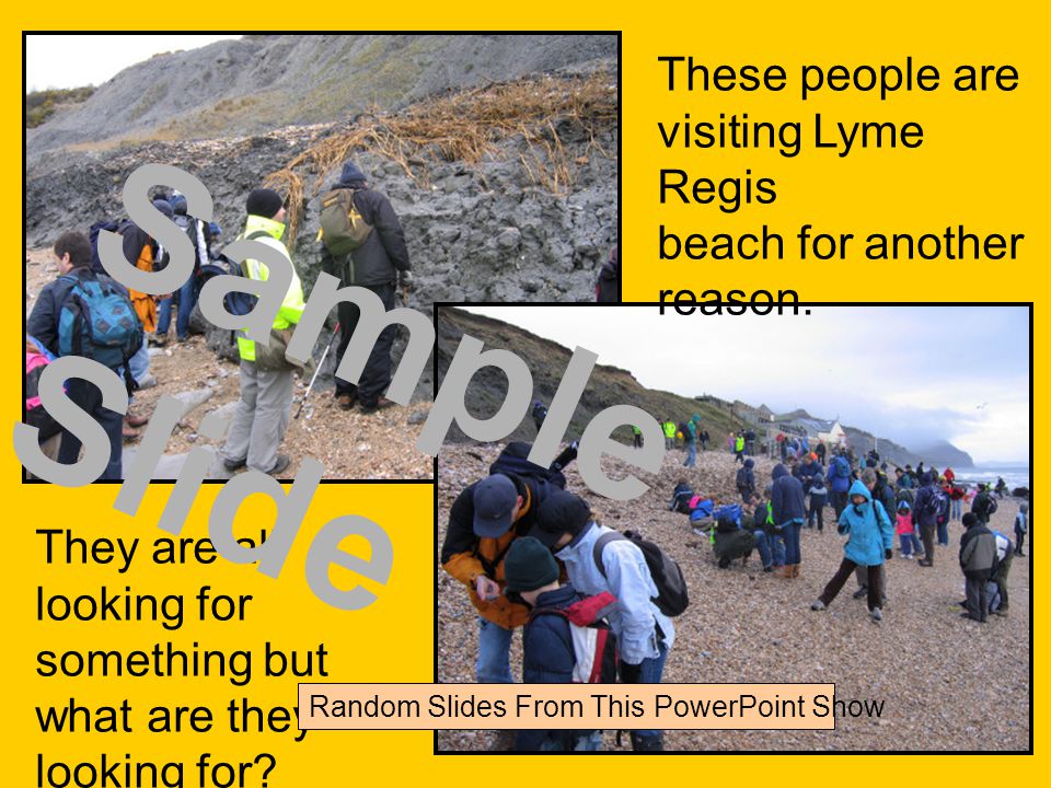 These people are visiting Lyme Regis beach for another reason.