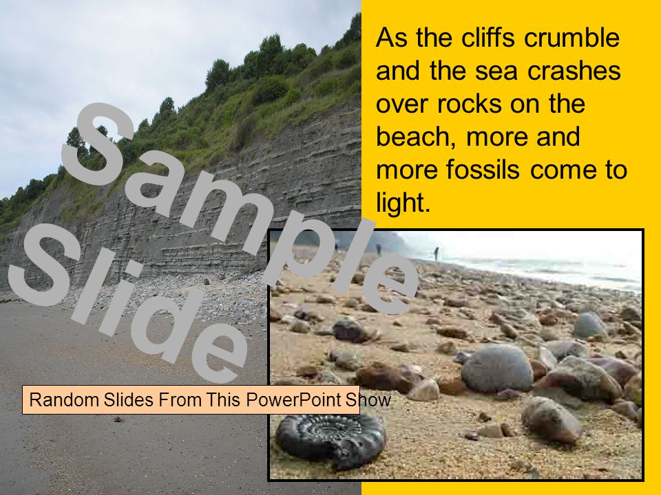 As the cliffs crumble and the sea crashes over rocks on the beach, more and more fossils come to light.