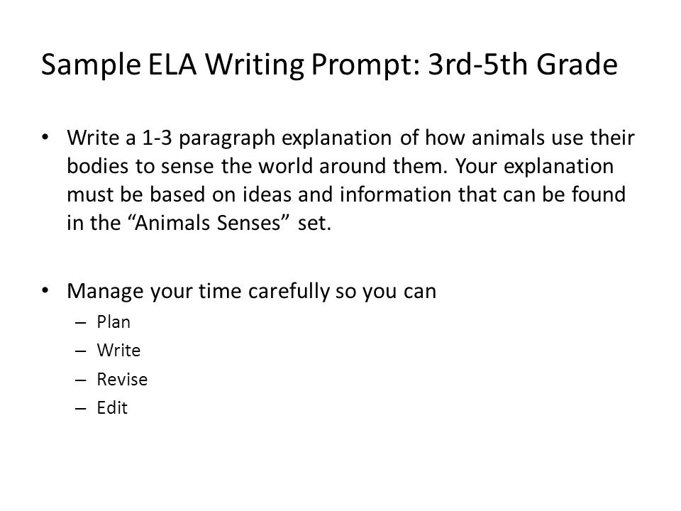 persuasive essay writing prompts 5th grade Georgia grade 5 writing assessment persuasive writing topic from the 2007 administration and sample papers persuasive writing topic 5104 prompt 5104 - persuasive. persuasive essay writing prompts 5th grade Georgia grade 5 writing assessment persuasive writing topic from the 2007 administration and sample papers persuasive writing topic 5104 prompt 5104 - persuasive.