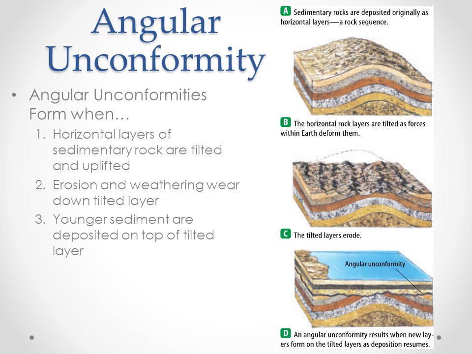 bell ringer what is the theory of evolution how do fossil records how do rock layers form