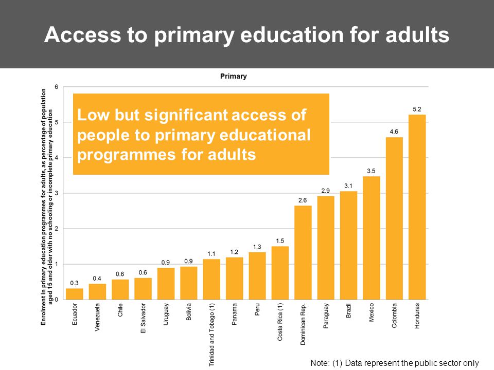 Access to primary education for adults Low but significant access of people to primary educational programmes for adults Note: (1) Data represent the public sector only