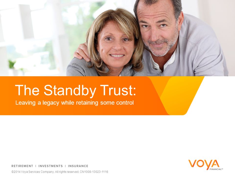 Do not put content on the brand signature area ©2014 Voya Services Company.