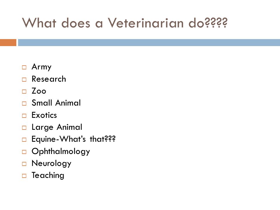 What does a Veterinarian do .