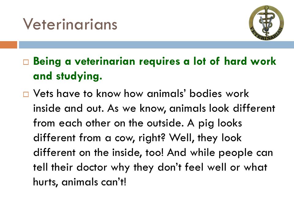 Veterinarians  Being a veterinarian requires a lot of hard work and studying.