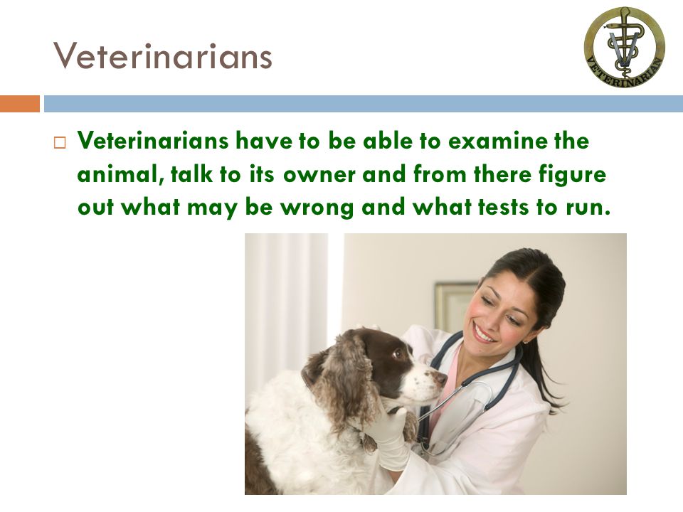 Veterinarians  Veterinarians have to be able to examine the animal, talk to its owner and from there figure out what may be wrong and what tests to run.