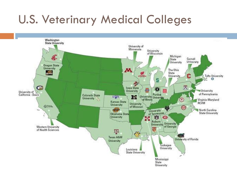 U.S. Veterinary Medical Colleges