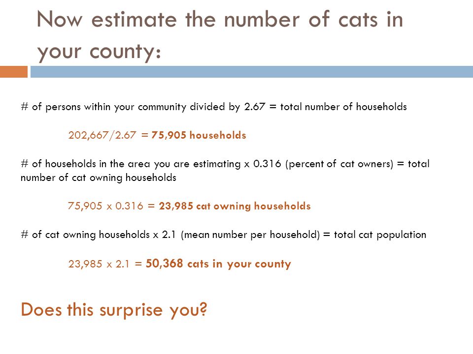 Now estimate the number of cats in your county: # of persons within your community divided by 2.67 = total number of households 202,667/2.67 = 75,905 households # of households in the area you are estimating x (percent of cat owners) = total number of cat owning households 75,905 x = 23,985 cat owning households # of cat owning households x 2.1 (mean number per household) = total cat population 23,985 x 2.1 = 50,368 cats in your county Does this surprise you