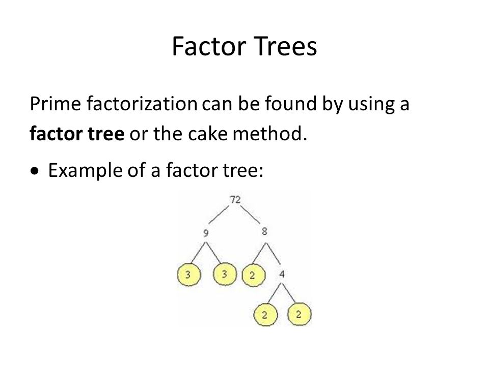 Factor Trees Prime factorization can be found by using a factor tree or the cake method.