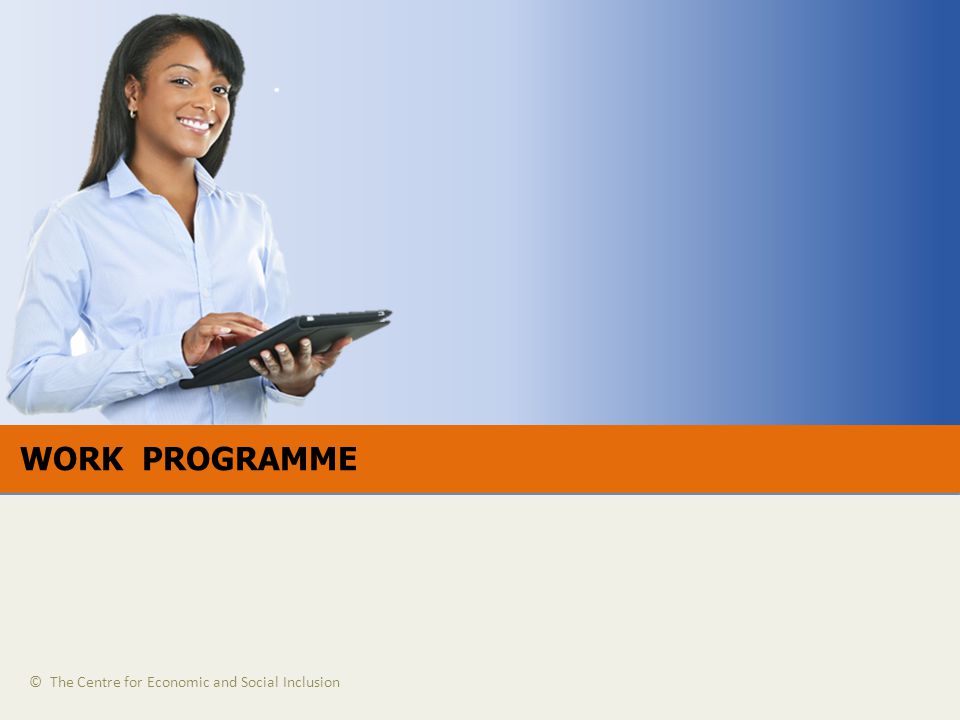 WORK PROGRAMME © The Centre for Economic and Social Inclusion