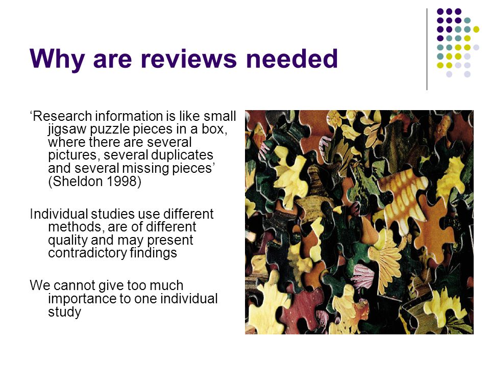 Literature Review Critique