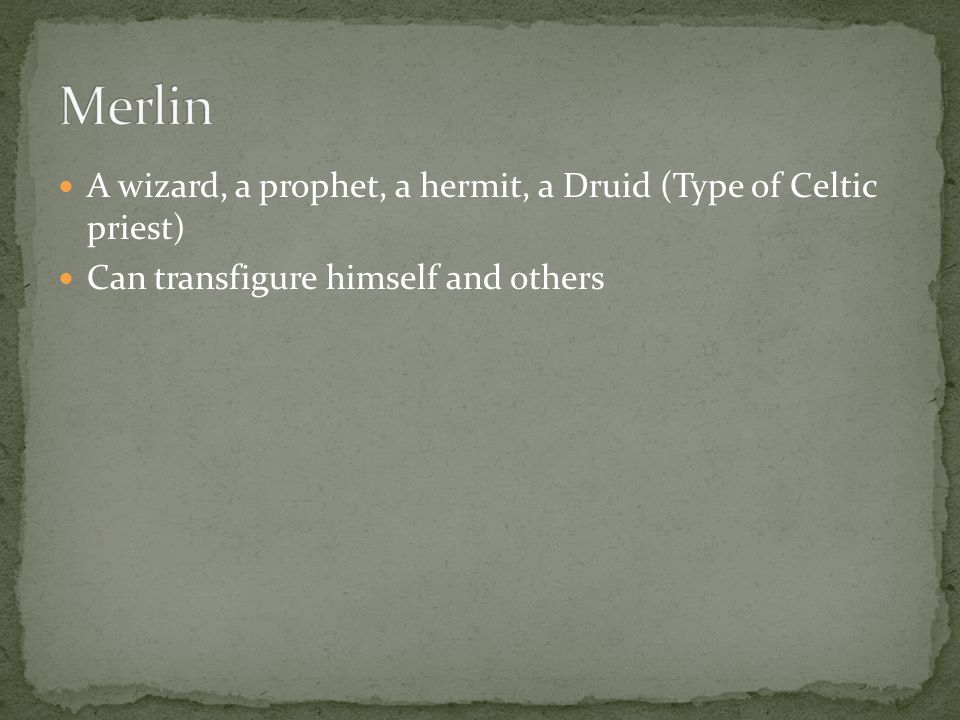 A wizard, a prophet, a hermit, a Druid (Type of Celtic priest) Can transfigure himself and others