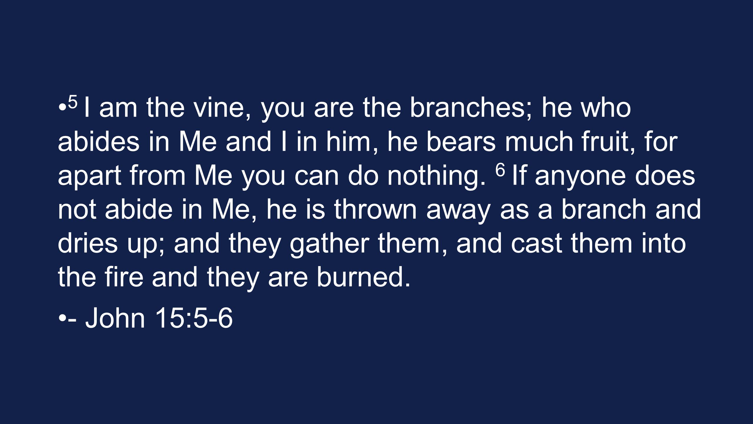 5 I am the vine, you are the branches; he who abides in Me and I in him, he bears much fruit, for apart from Me you can do nothing.