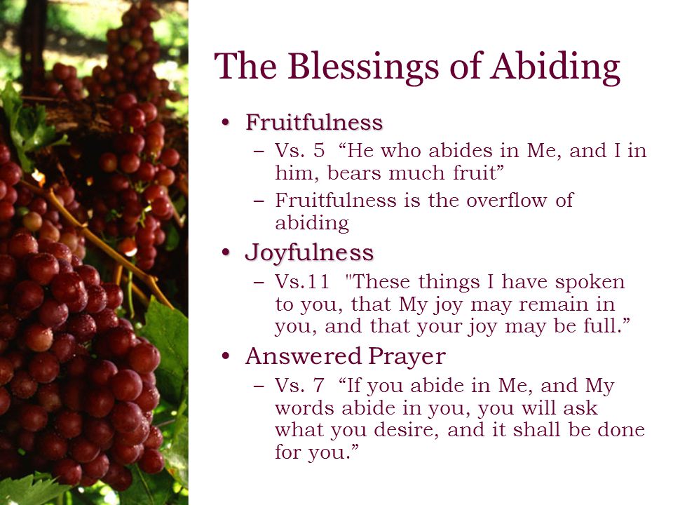The Blessings of Abiding FruitfulnessFruitfulness –Vs.