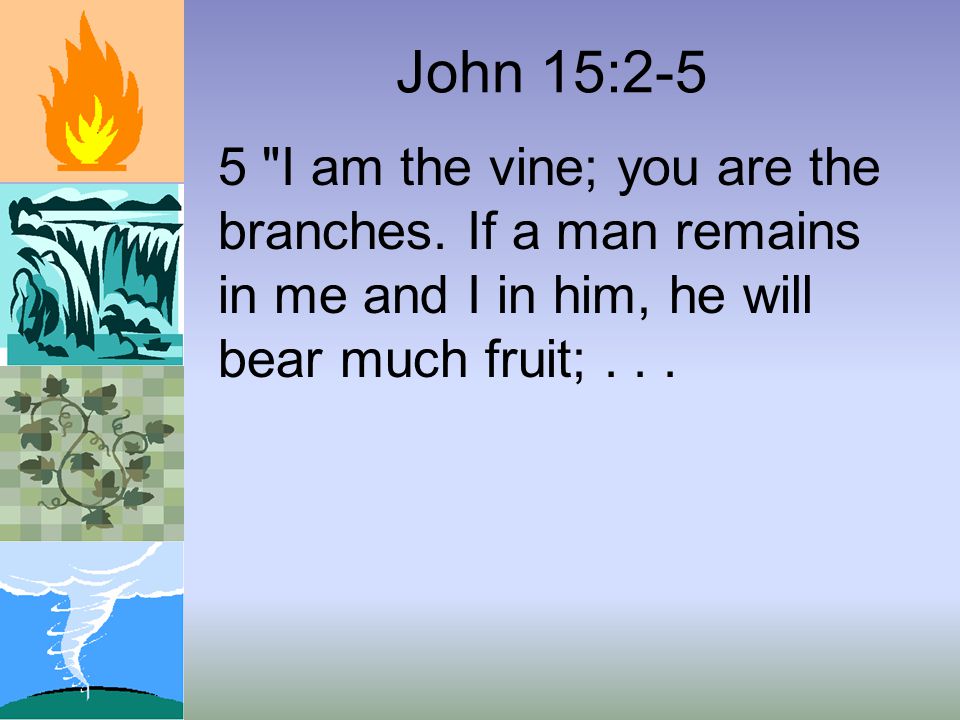 John 15:2-5 5 I am the vine; you are the branches.