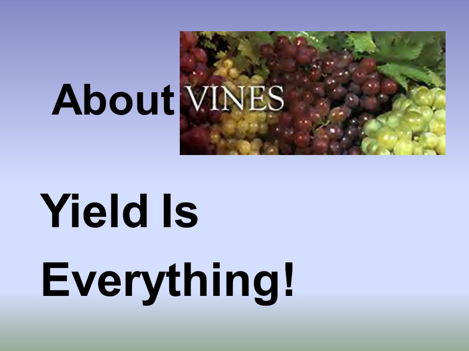 Yield Is Everything! About