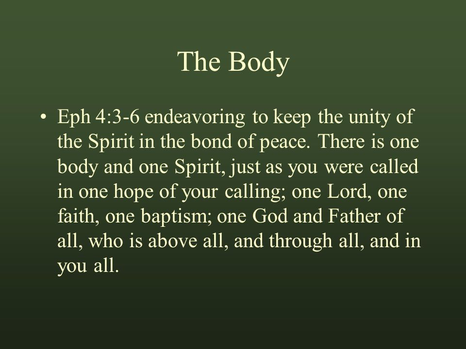 The Body Eph 4:3-6 endeavoring to keep the unity of the Spirit in the bond of peace.