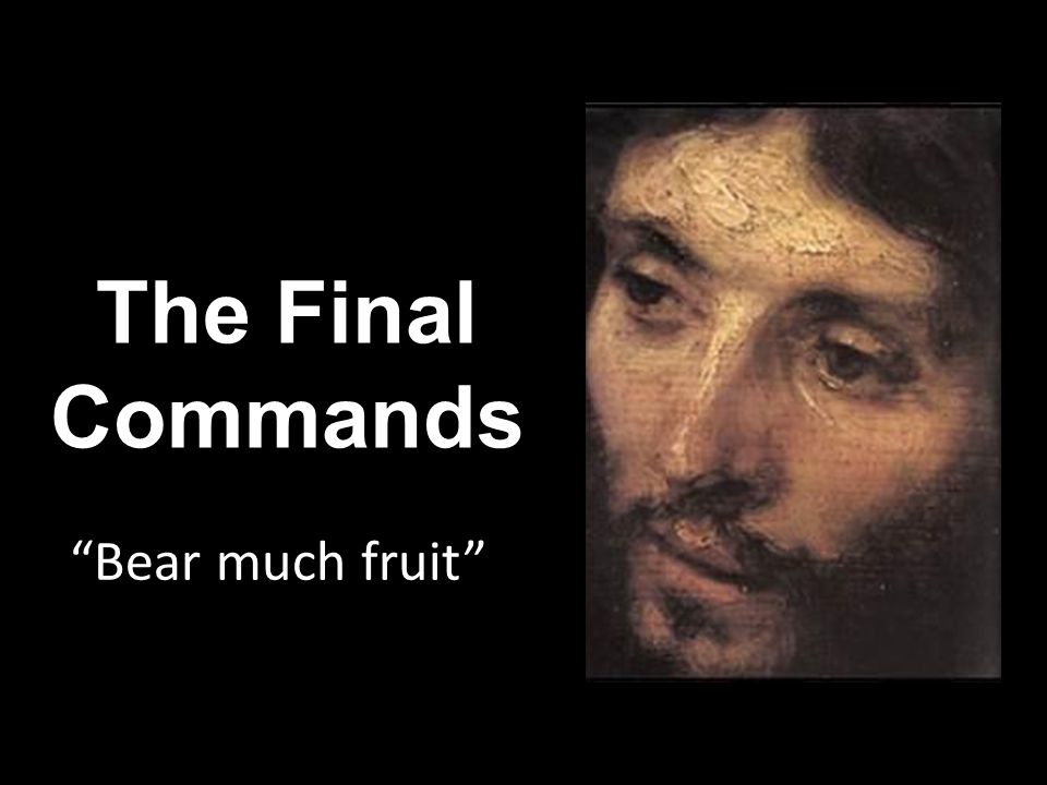 The Final Commands Bear much fruit