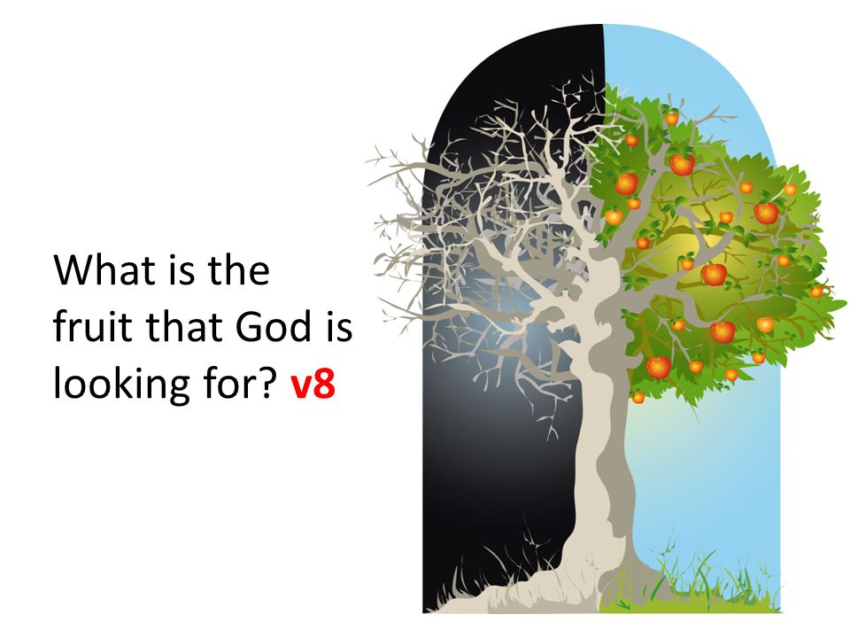 What is the fruit that God is looking for v8