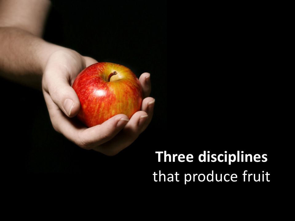 Three disciplines that produce fruit