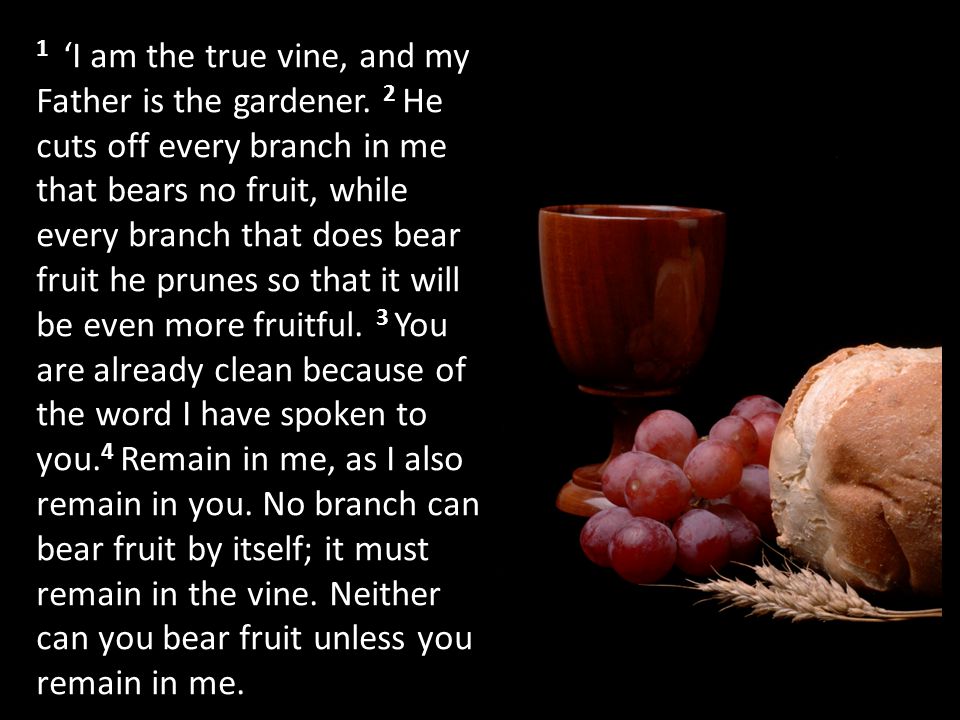 1 ‘I am the true vine, and my Father is the gardener.