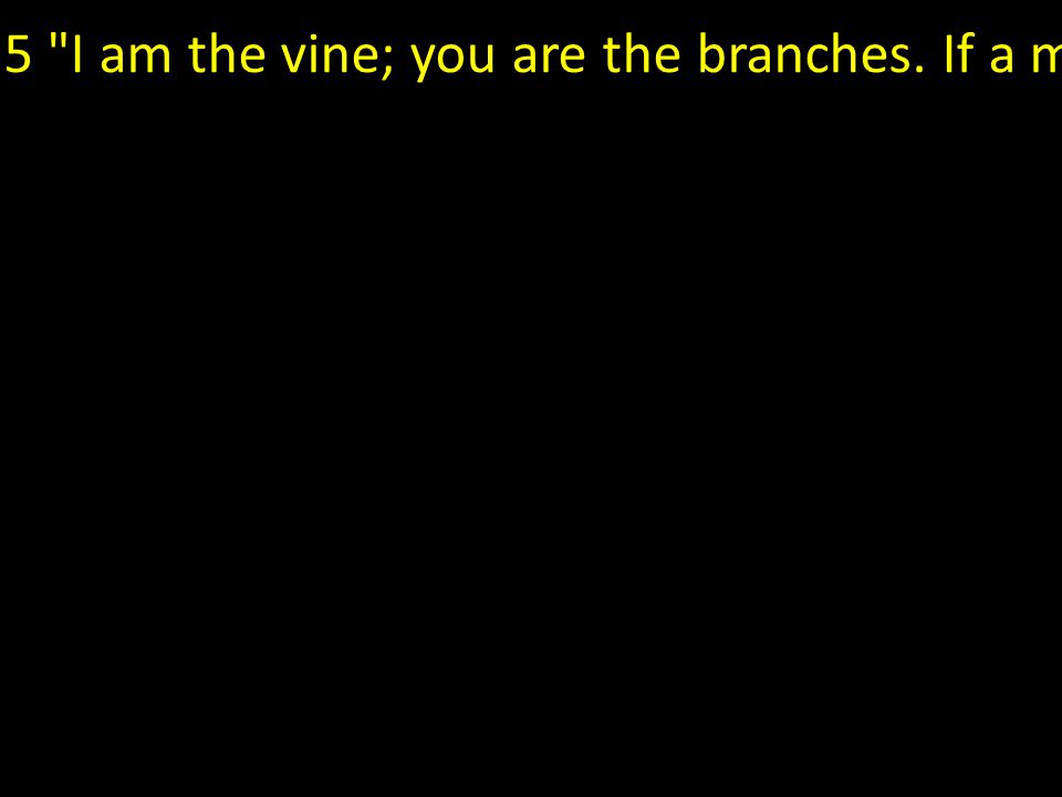 5 I am the vine; you are the branches.