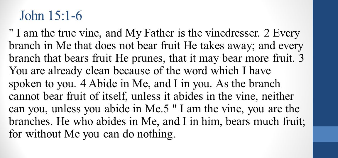 John 15:1-6 I am the true vine, and My Father is the vinedresser.