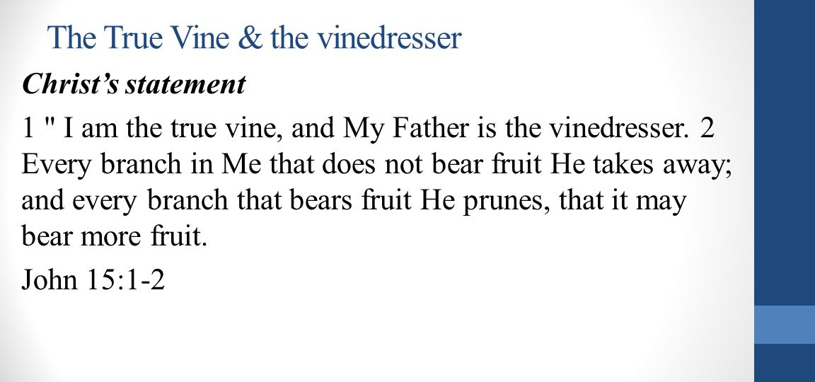 The True Vine & the vinedresser Christ’s statement 1 I am the true vine, and My Father is the vinedresser.