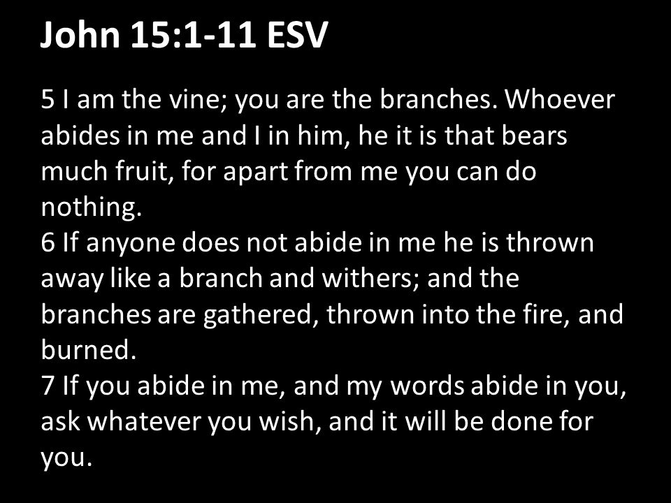 John 15:1-11 ESV 5 I am the vine; you are the branches.