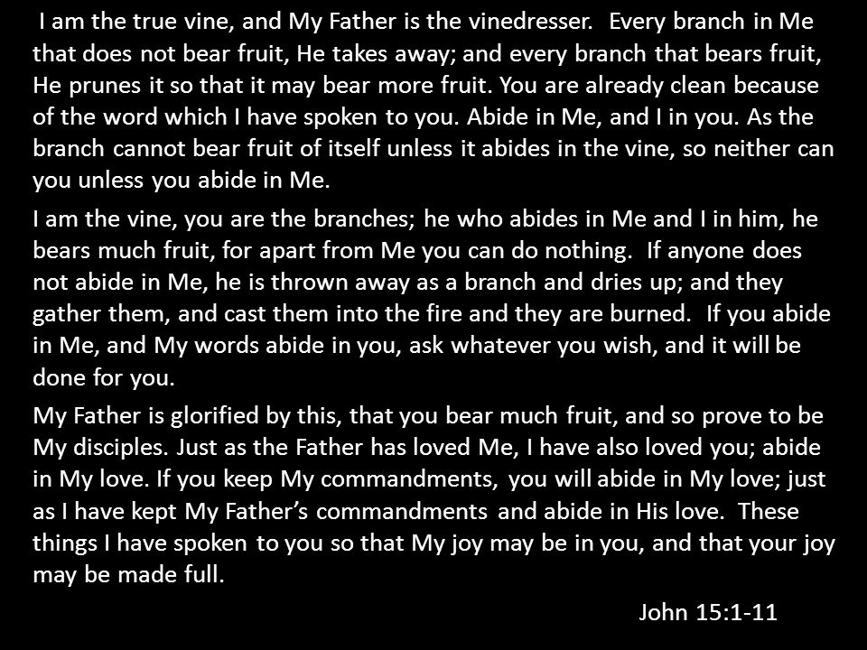 I am the true vine, and My Father is the vinedresser.