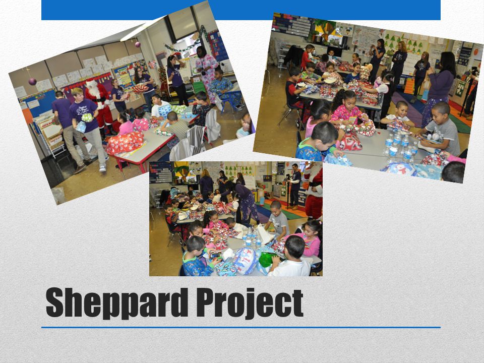 Sheppard Project