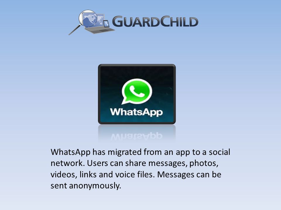WhatsApp has migrated from an app to a social network.