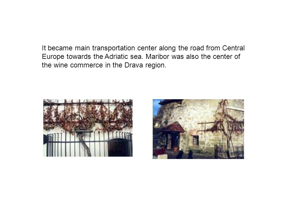 It became main transportation center along the road from Central Europe towards the Adriatic sea.