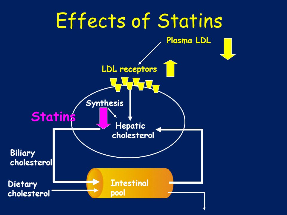 Dietary cholesterol Biliary cholesterol Effects of Statins Intestinal pool LDL receptors Hepatic cholesterol Synthesis Plasma LDL Statins