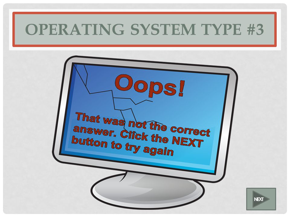 OPERATING SYSTEM TYPE #3 NEXT